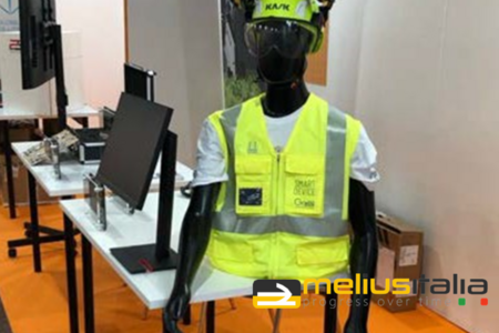 Meliusitalia