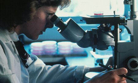 The Influence of Glycation on Lubrication in Nature