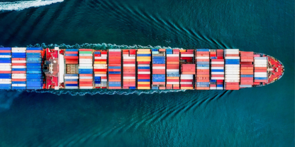 2022 - A Year in Focus: Lessons learnt in a world full of risk