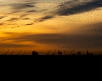 TT Club publishes workplace guidance to help UK ports through the coronavirus pandemic