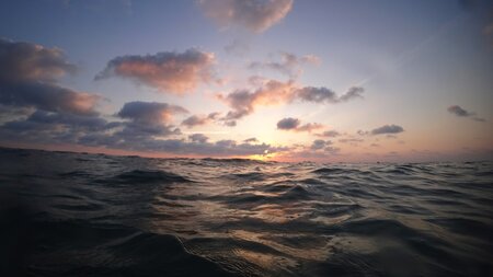 London Seminar January, 2025: Conflict - The legal and the practical