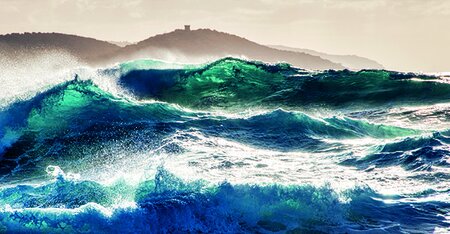 May, 2024 - Service Guidelines (2024)